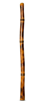 Rope & Burnt Finish Didgeridoo (TW490)